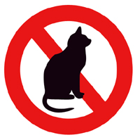do not feed cats